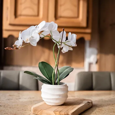 아파트 Smartstay Caron - *