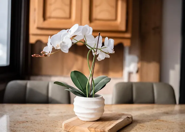 Apartment Smartstay Caron - *